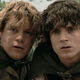 Samwise Gamgee and Frodo Baggins, looking confused.